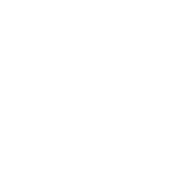 Iron Shield Roofing & Restoration