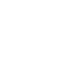 Iron Shield Roofing & Restoration