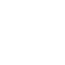 Iron Shield Roofing & Restoration