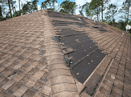 Winter wind damage