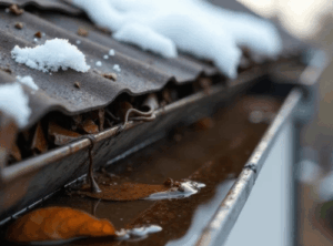 Winter Storm Debris