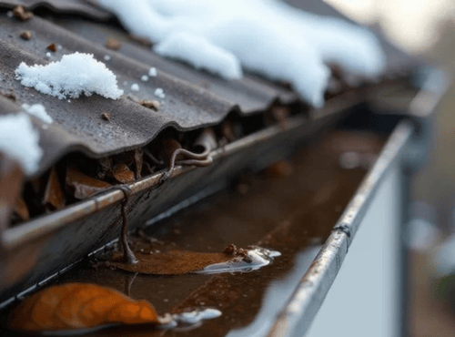 Winter Storm Debris