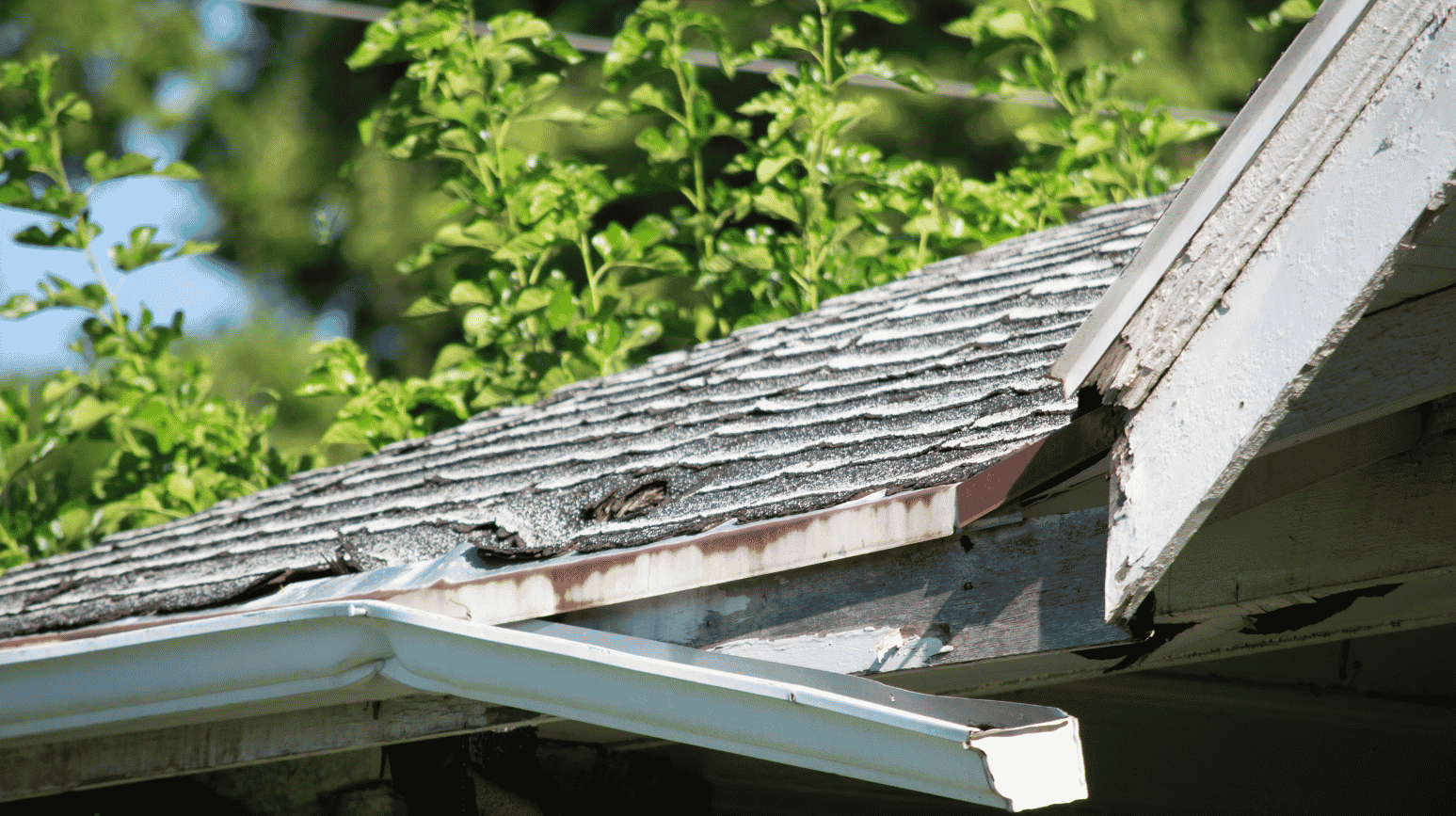 Exterior damage repair